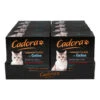 Cadora Katzennahrung Multipack Gelee 8 X 85 G, 8er Pack