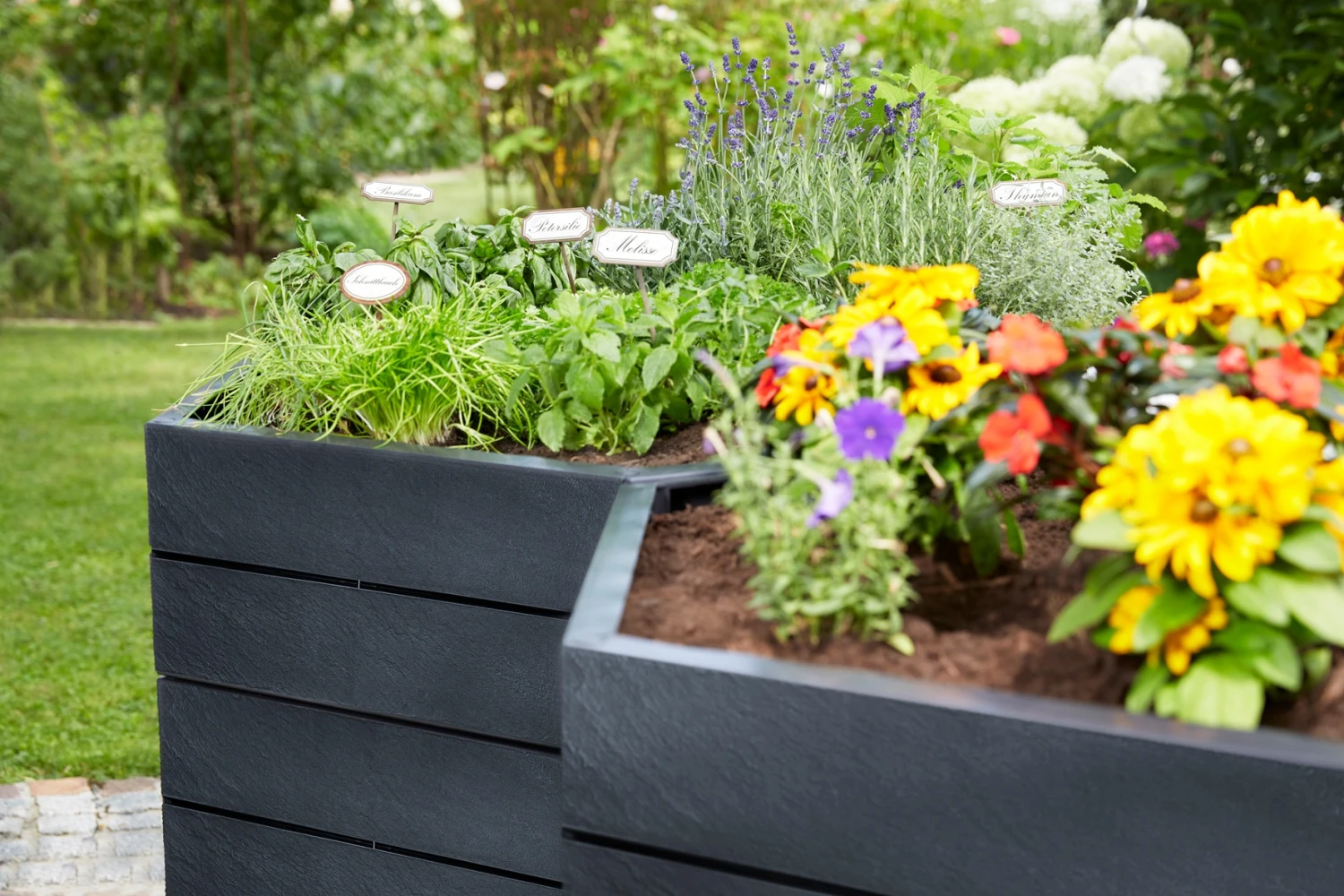 Garantia ERGO VARIO 1 Hochbeet - Stone, Inkl. FLORA 6 Garantia ERGO VARIO 1 Hochbeet - Stone, Inkl. FLORA – Bild 6