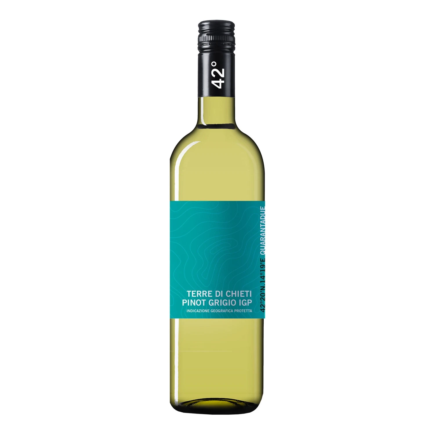42° Pinot Grigio Terre Di Chieti IGP 12,5 % Vol 0,75 Liter 1 42° Pinot Grigio Terre Di Chieti IGP 12,5 % Vol 0,75 Liter