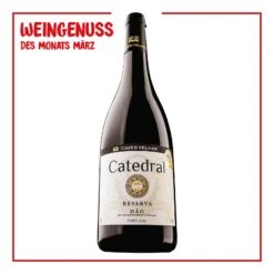 Catredral Reserva Dao DOC 13,0 % Vol 0,75 Liter